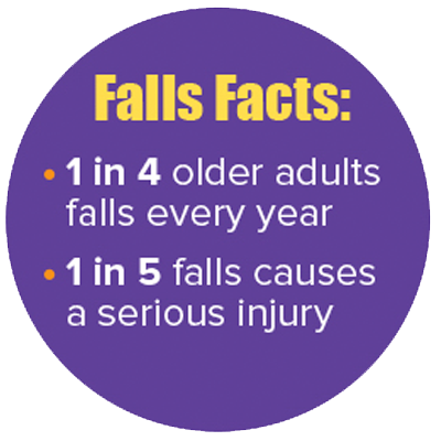 FallsFacts